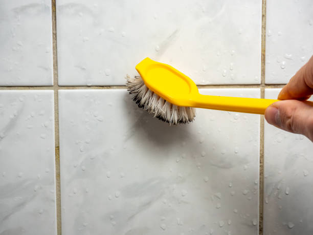 Best Office Mold Removal Services  in Upper Sandusky, OH