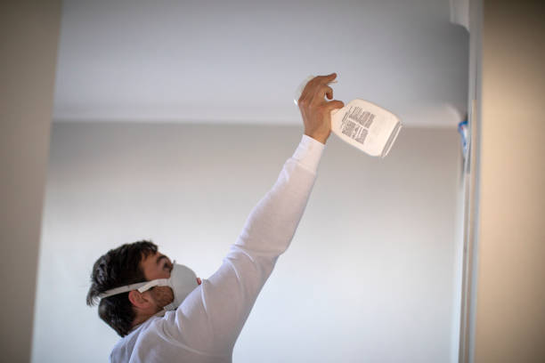Best Residential Mold Removal  in Upper Sandusky, OH