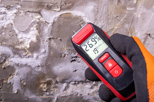 Best Mold Remediation Services  in Upper Sandusky, OH