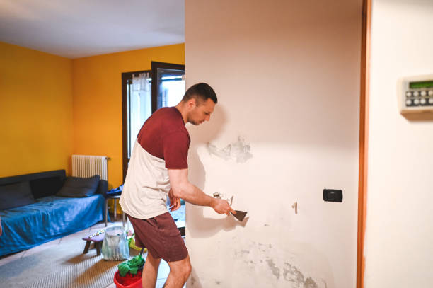 Best Local Mold Removal Service  in Upper Sandusky, OH